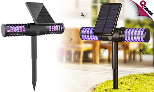 Insect Killer UV Lamp!